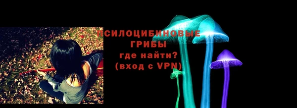 твердый Нефтегорск