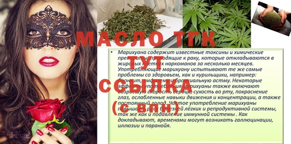 хмурый Новозыбков