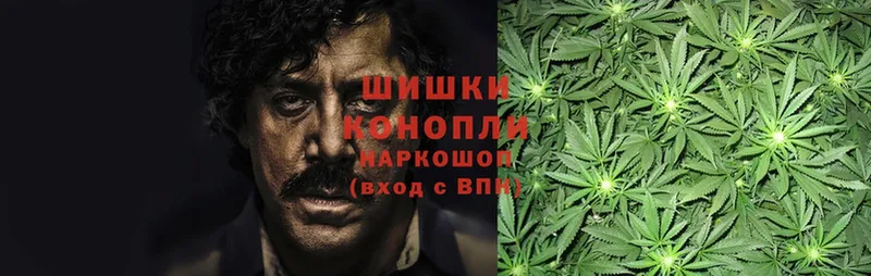 Конопля Bruce Banner  Колпашево 